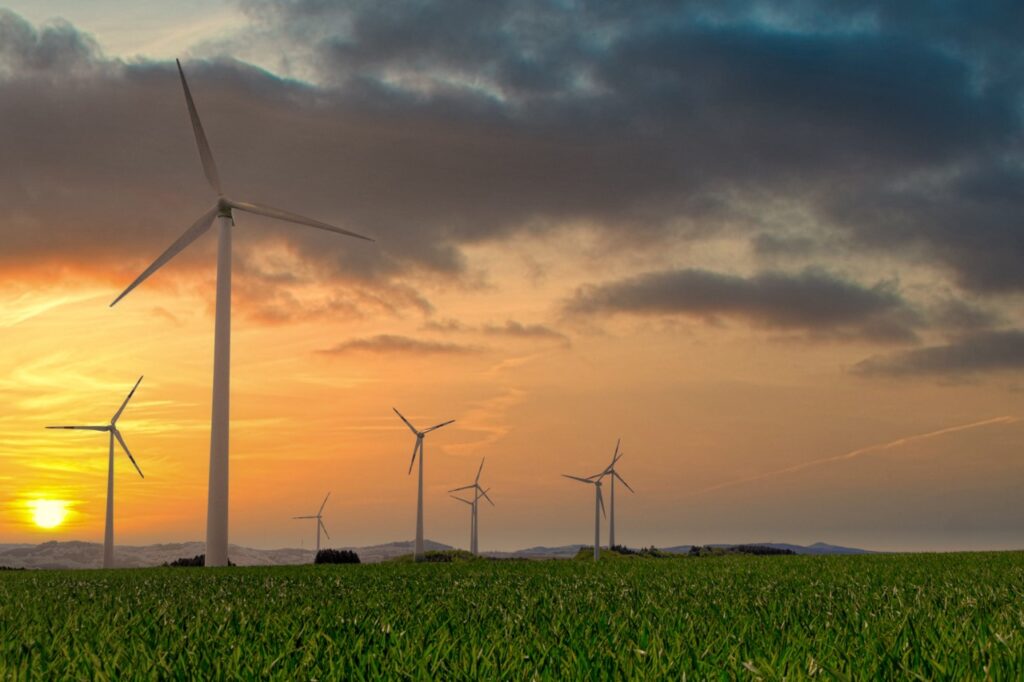wind turbines farm